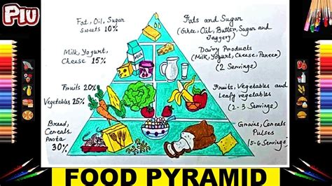 How To Draw Healthy Food Pyramid Drawing Easy 5 Levels And Layers Of