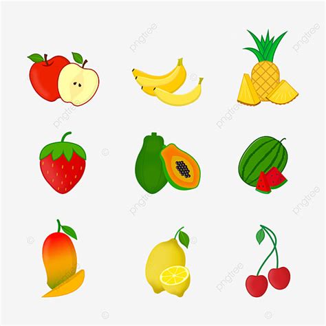 Set Ilustrasi Vektor Buah Buahan Buah Buahan Buah Segar Set Buah PNG