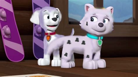 Heartwarming Love Marshall X Everest Pups Paw Patrol Fanon 2 Wiki