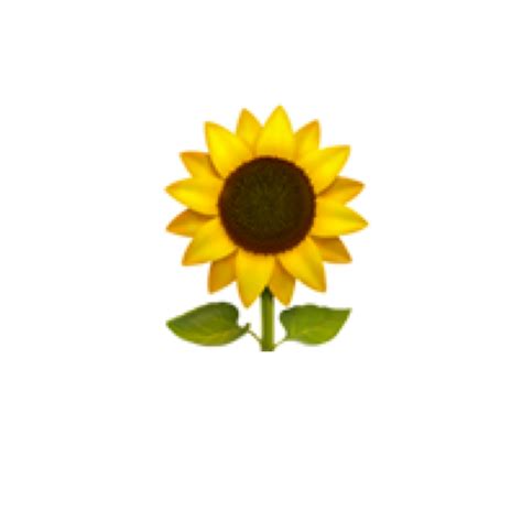 Freetoedit Sunflower Aesthetic Sticker Emoji Aesthetic Transparent