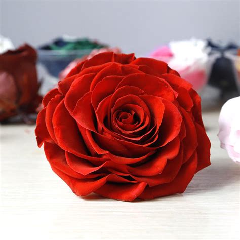 Natural Eternal Flowers Forever Preserved Rose Wholesale Ecuadorian