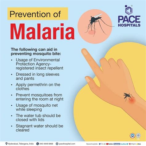 Malaria Symptoms Causes Types Complications Prevention