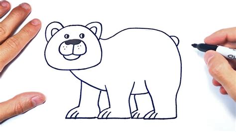 Cómo Dibujar Un Oso Paso A Paso Dibujo De Oso