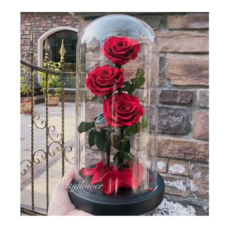 Wholesale New Design For Living Room Real Natural Preserved Roses