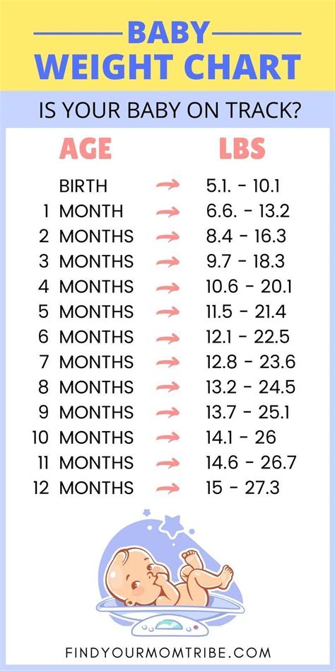 Ranking The Best Baby Scales Of To Track Babies Growth Artofit