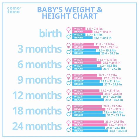 Baby Weight Chart Uk