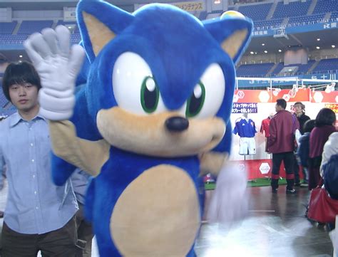 Daftpunkyoshi Shadow And Sonic The Hedgehog Mascot Costumes At