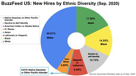 Racial Makeup Of Us Pie Chart Mugeek Vidalondon