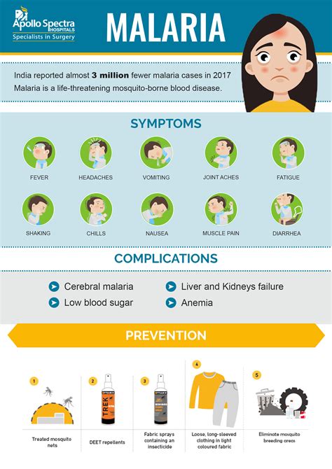 Malaria Prevention Signs Causes And Precautions