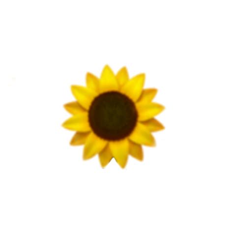 Sunflower Emoji Aesthetic