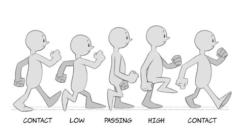 2d Animation Walk Cycles Basics — Kalamazoo Public Library