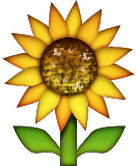 Congratulations The Png Image Has Been Downloaded Sunflower Emoji