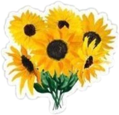 Download High Quality Sunflower Clipart Aesthetic Transparent Png