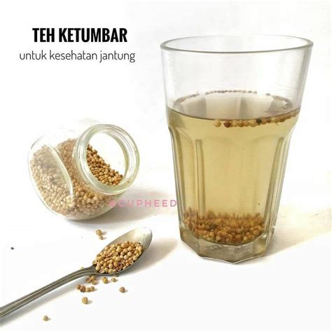 Ingin selalu sehat, tentu tidak sulit, anda cukup mengkonsumsi salah satu minuman tradisional indonesia. Minuman Sehat Untuk Jantung / 11 Minuman Terbaik Untuk ...