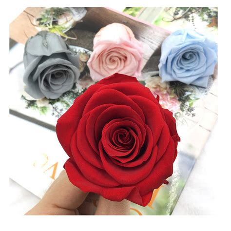 Wholesale Preserved Roses Japan Forever Roses Eternity Natural Roses