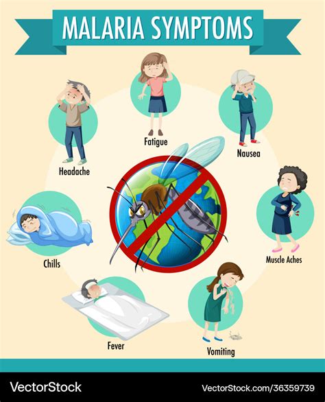 Malaria Symptom Information Infographic Royalty Free Vector