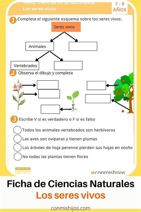 Los seres vivos Ejercicio de Ciencias Naturales para 2º de Primaria