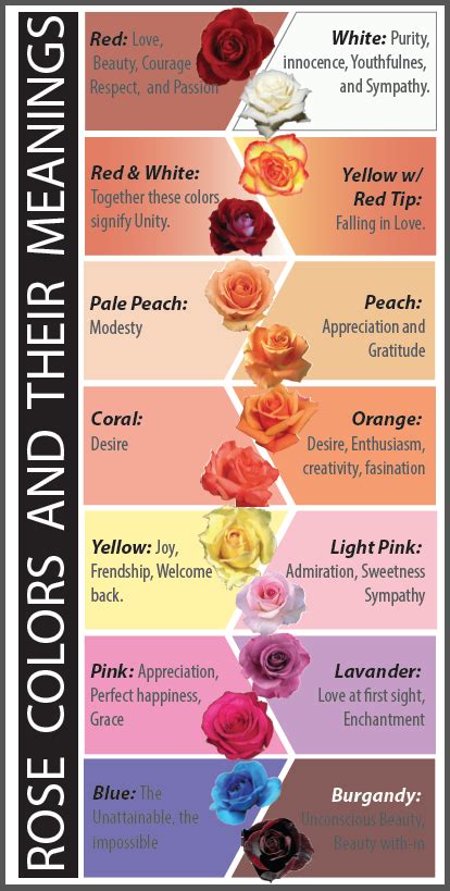 Roses And Their Different Meanings