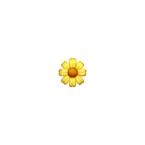 Sunflower Iphone Emoji Png Best Flower Site