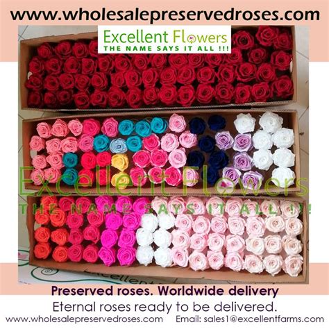 Preserved Roses Have Arrived At Our Delivery Center Preserved Roses