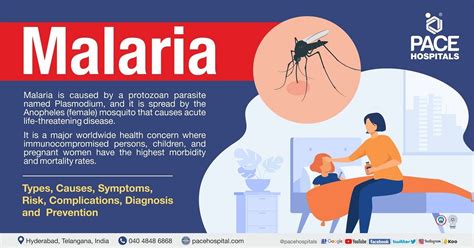 Malaria Symptoms Causes Types Complications Prevention