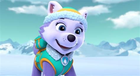 Everest De Nieuwe Paw Patrol Pup Everest Paw Patrol Paw Pup