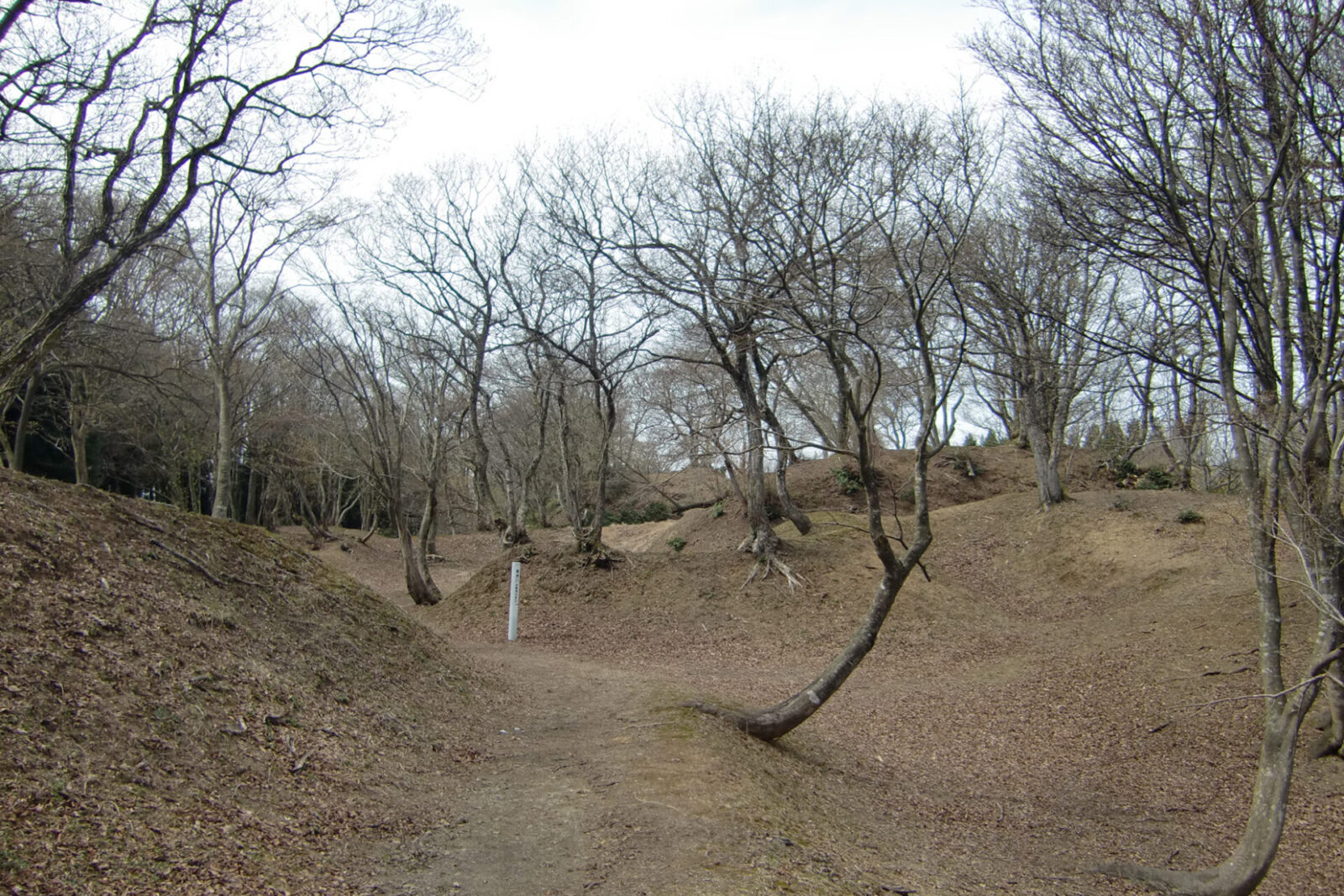 玄蕃尾城（内中尾山城）跡