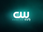 The CW TV shows (canceled or renewed?)