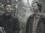 Supernatural TV Show: canceled or renewed?