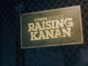 Power Book III: Raising Kanan TV Show on Starz: canceled or renewed?