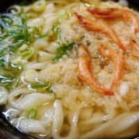 葉隠れうどんえび天