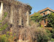 North Brother Island