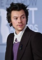 Harry Styles | One Direction, Movies, Don’t Worry Darling, Watermelon Sugar, & Family | Britannica