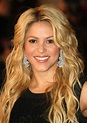 Shakira named 2011 Latin Grammys person of year - syracuse.com