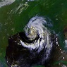 Tropical Storm Beryl (1988) - Wikipedia