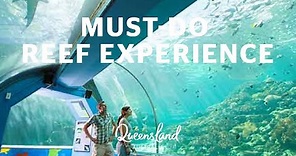 Visit the Reef HQ Aquarium virtually in Townsville