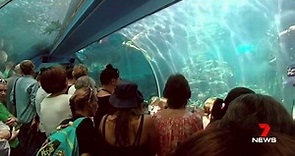Reef HQ Aquarium to undergo multi-million dollar transformation