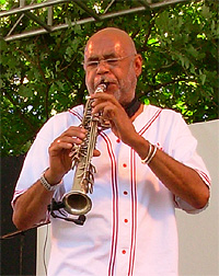 <span class="mw-page-title-main">Reggie Houston</span> American jazz musician