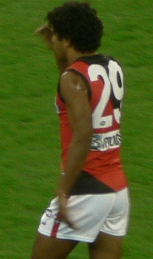 <span class="mw-page-title-main">Alwyn Davey</span> Australian rules footballer