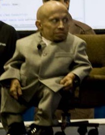 <span class="mw-page-title-main">Mini-Me</span> Character in the Austin Powers films