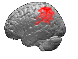 <span class="mw-page-title-main">Brodmann area 40</span> Part of the parietal cortex in the human brain