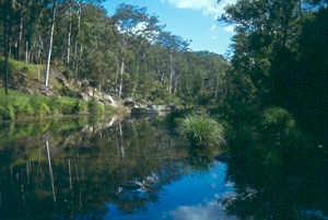 Carnarvon National Park Protected area in Queensland, Australia