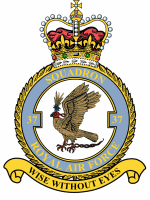 <span class="mw-page-title-main">No. 37 Squadron RAF</span> Defunct flying squadron of the Royal Air Force