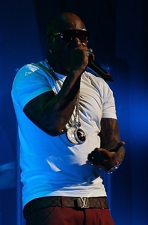 <span class="mw-page-title-main">Birdman (rapper)</span> American rapper and record executive (born 1969)