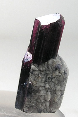 <span class="mw-page-title-main">Fluor-liddicoatite</span>