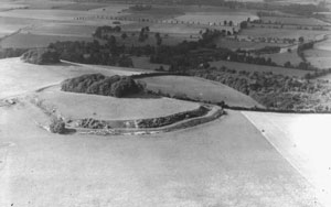 <span class="mw-page-title-main">Wittenham Clumps</span> Pair of hills in Berkshire, England