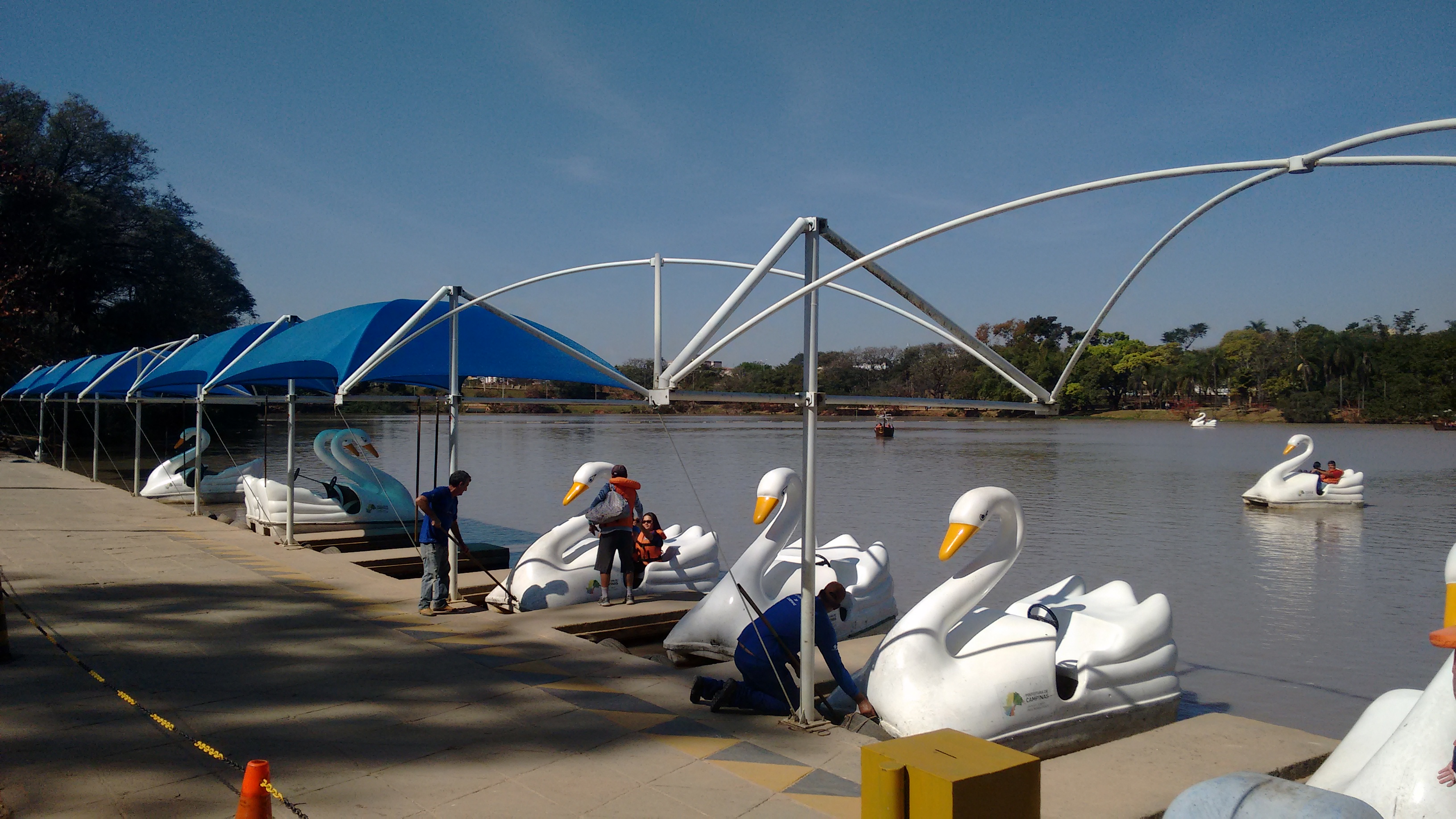 Pedalinhos dentro da lagoa do Parque Taquaral em Campinas - SP.