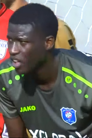 <span class="mw-page-title-main">Daouda Diémé</span> Senegalese footballer (born 1989)