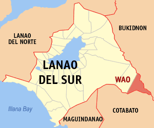 <span class="mw-page-title-main">Wao, Lanao del Sur</span> Municipality in Lanao del Sur, Philippines