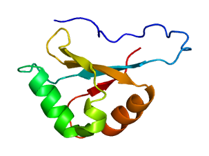 <span class="mw-page-title-main">DDX50</span> Protein-coding gene in the species Homo sapiens